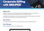 design premium PDF lead magnets, ebooks, brochures